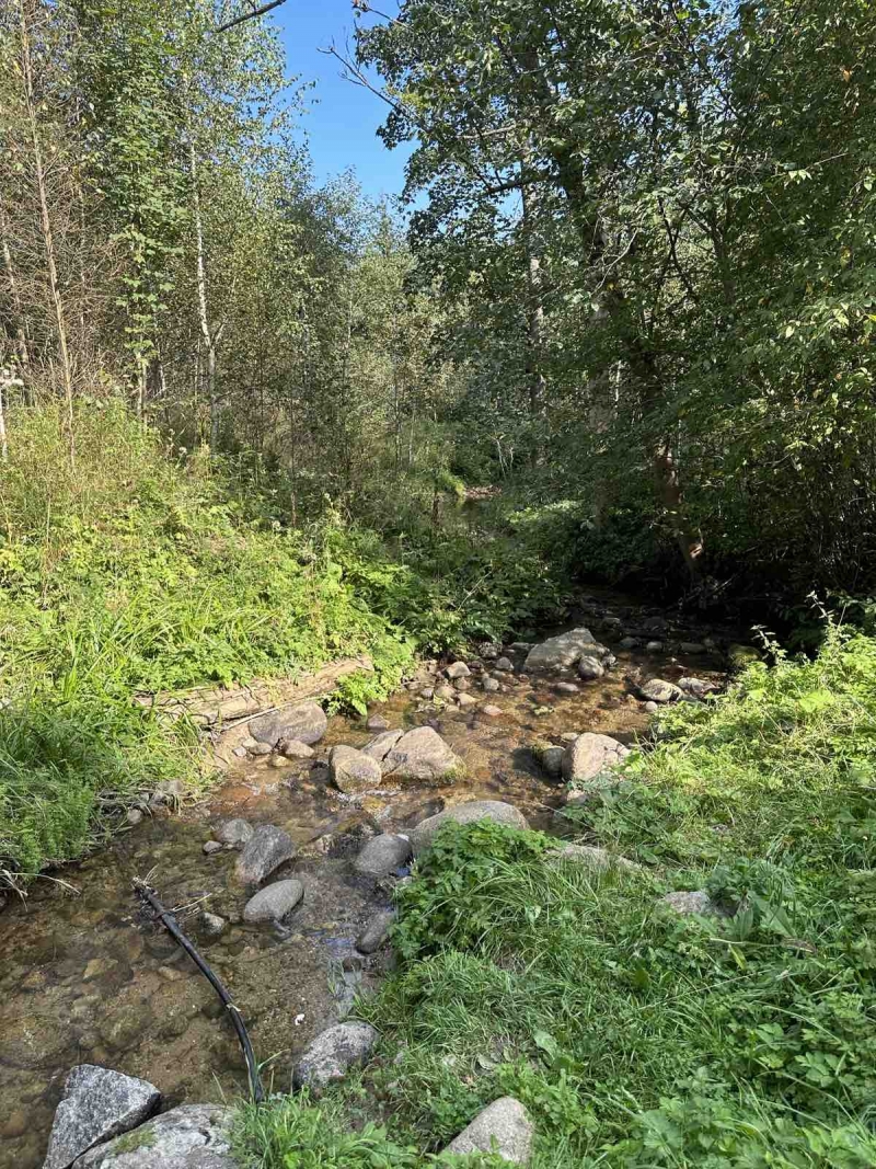 Словацькі колеги поділились досвідом